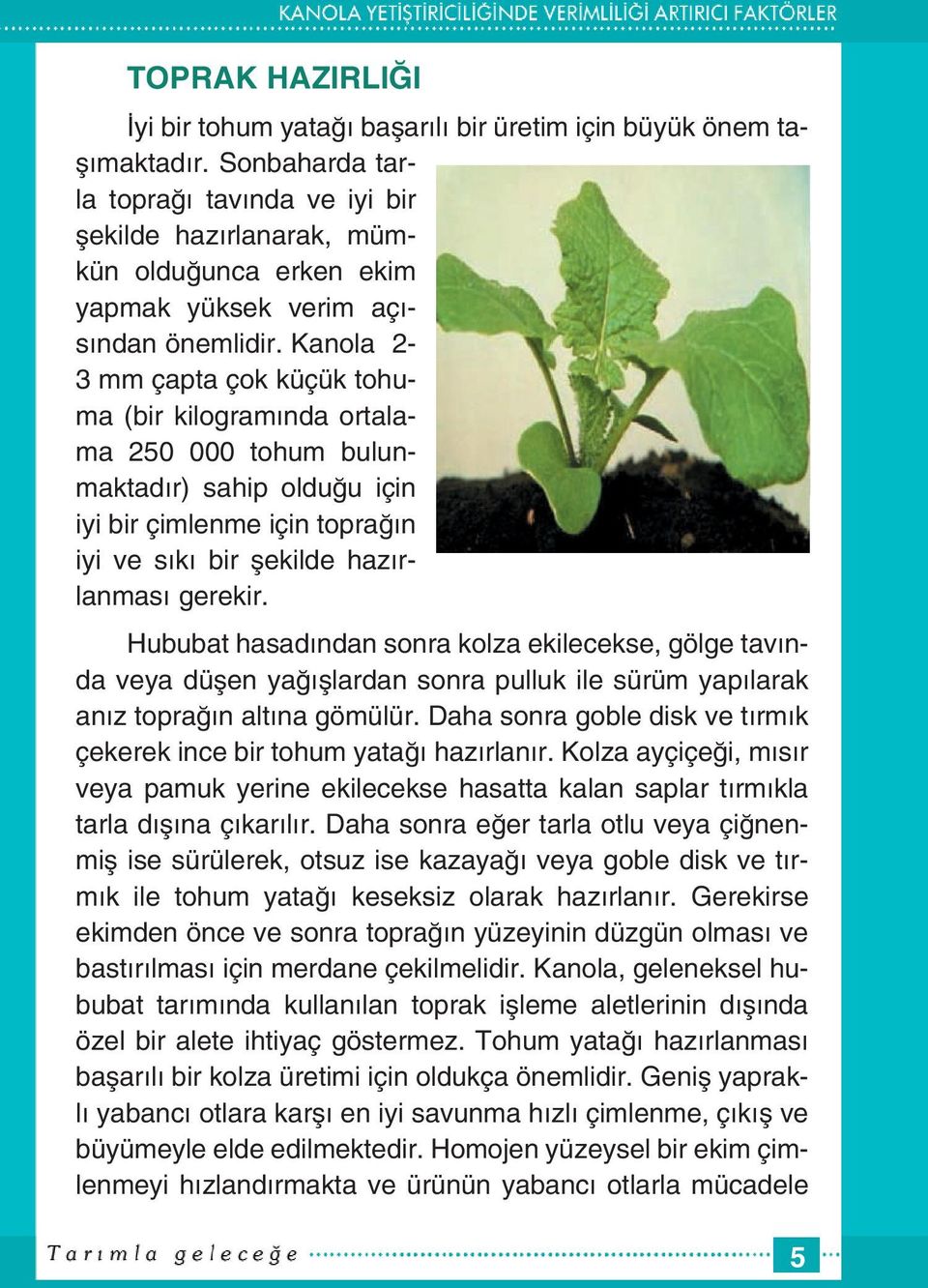 Kanola 2-3 mm çapta çok küçük tohuma (bir kilogram nda ortalama 250 000 tohum bulunmaktad r) sahip oldu u için iyi bir çimlenme için topra n iyi ve s k bir flekilde haz rlanmas gerekir.