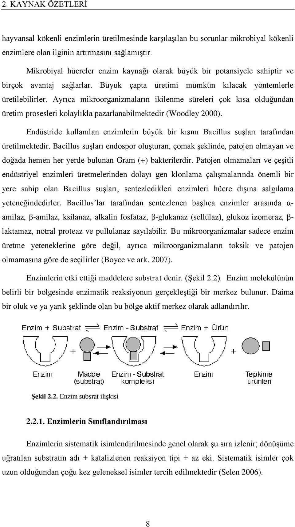 Ayrıca mikroorganizmaların ikilenme süreleri çok kısa olduğundan üretim prosesleri kolaylıkla pazarlanabilmektedir (Woodley 2000).