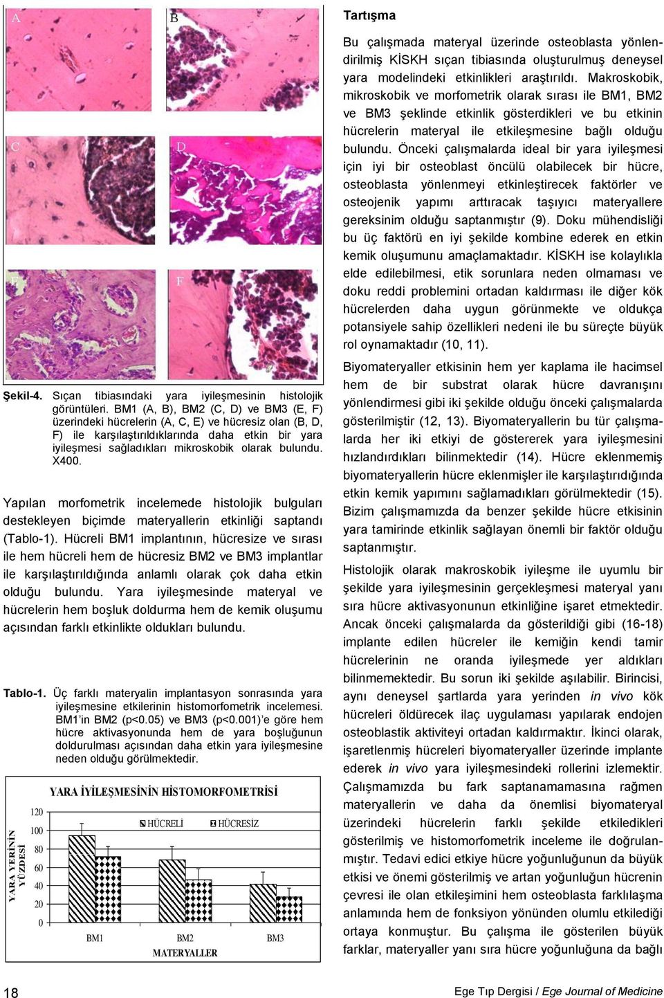 X400. Yapılan morfometrik incelemede histolojik bulguları destekleyen biçimde materyallerin etkinliği saptandı (Tablo-1).