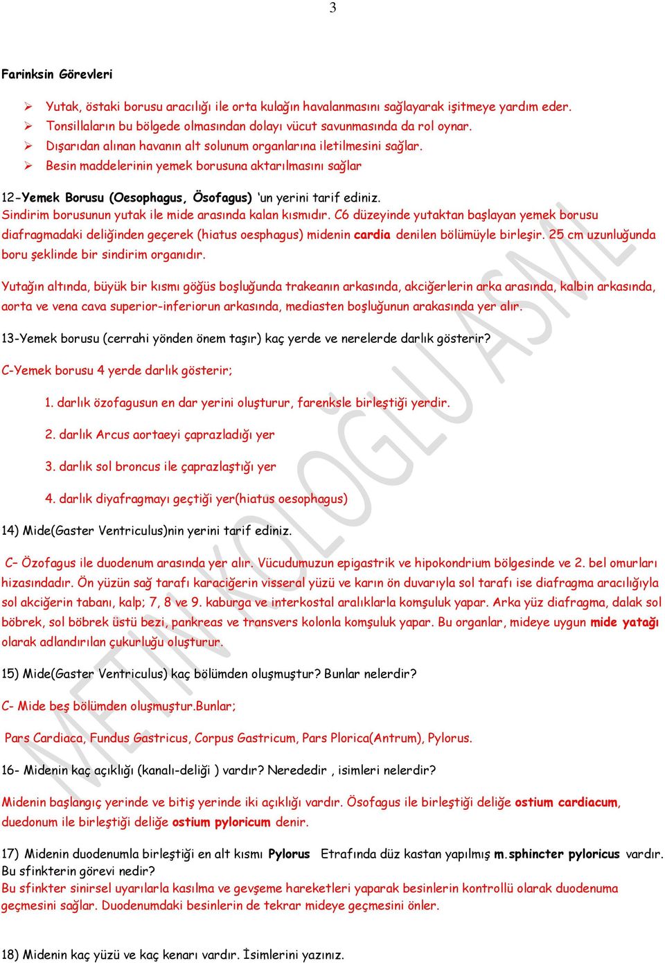 Sindirim borusunun yutak ile mide arasında kalan kısmıdır. C6 düzeyinde yutaktan başlayan yemek borusu diafragmadaki deliğinden geçerek (hiatus oesphagus) midenin cardia denilen bölümüyle birleşir.