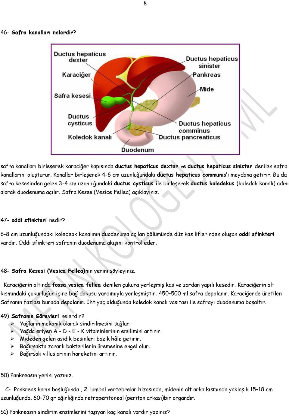 Bu da safra kesesinden gelen 3-4 cm uzunluğundaki ductus cysticus ile birleşerek ductus koledekus (koledok kanalı) adını alarak duodenuma açılır. Safra Kesesi(Vesice Fellea) açıklayınız.