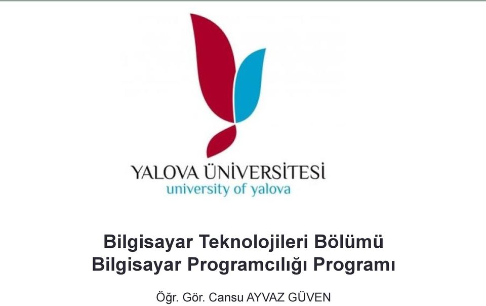 Programcılığı Programı