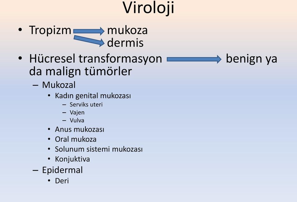 Serviks uteri Vajen Vulva Anus mukozası Oral mukoza