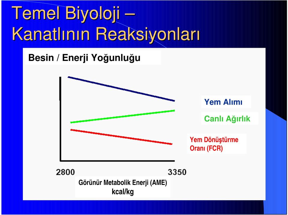 Yem Alımı Canlı Ağırlık Yem Dönüştürme