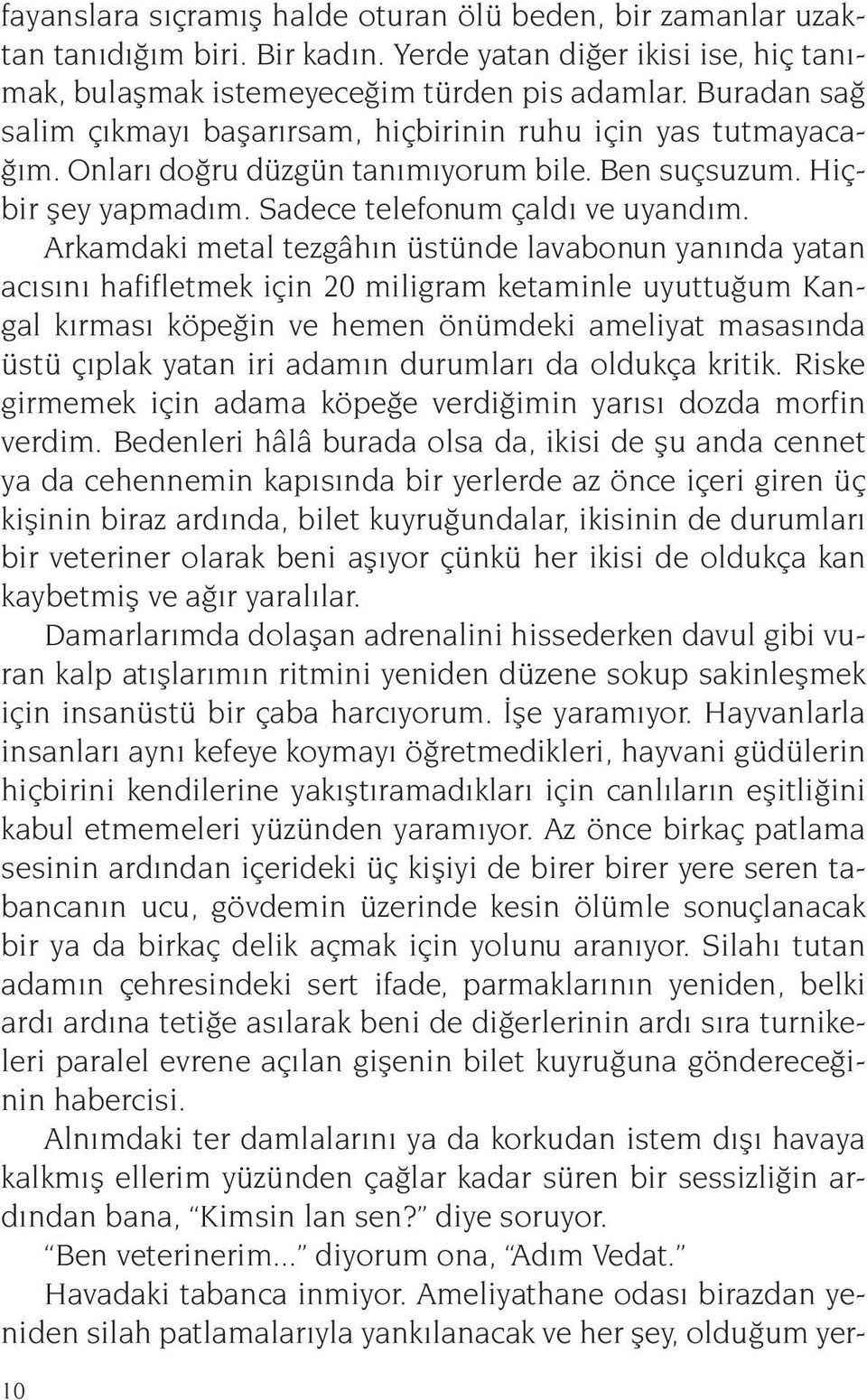 Arkamdaki metal tezgâhın üstünde lavabonun yanında yatan acısını hafifletmek için 20 miligram ketaminle uyuttuğum Kangal kırması köpeğin ve hemen önümdeki ameliyat masasında üstü çıplak yatan iri