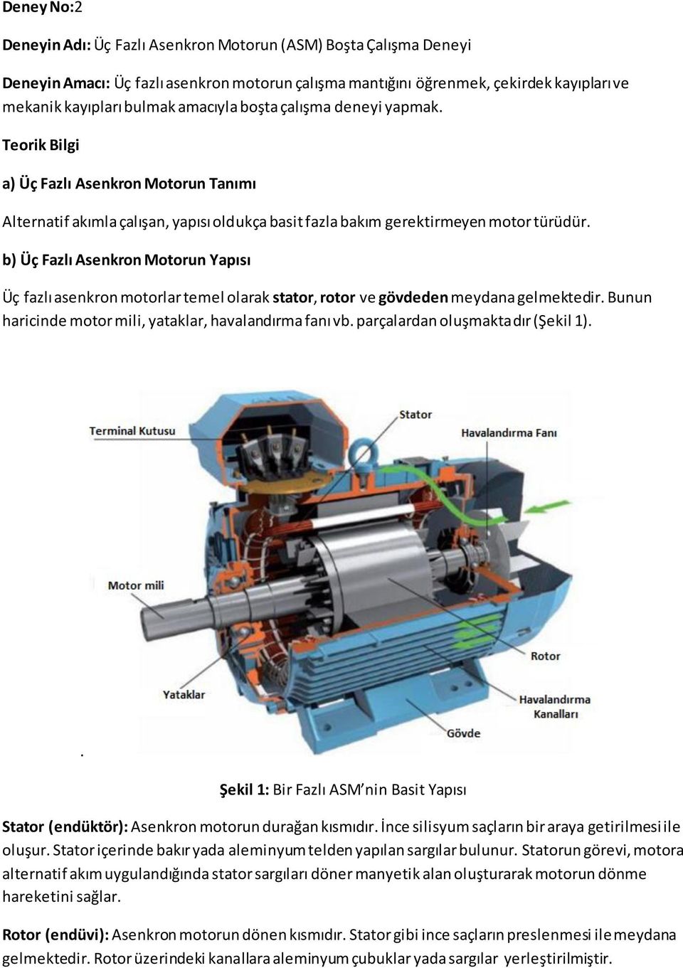 b) Üç Fazlı Asenkron Motorun Yapısı Üç fazlı asenkron motorlar temel olarak stator, rotor ve gövdeden meydana gelmektedir. Bunun haricinde motor mili, yataklar, havalandırma fanı vb.