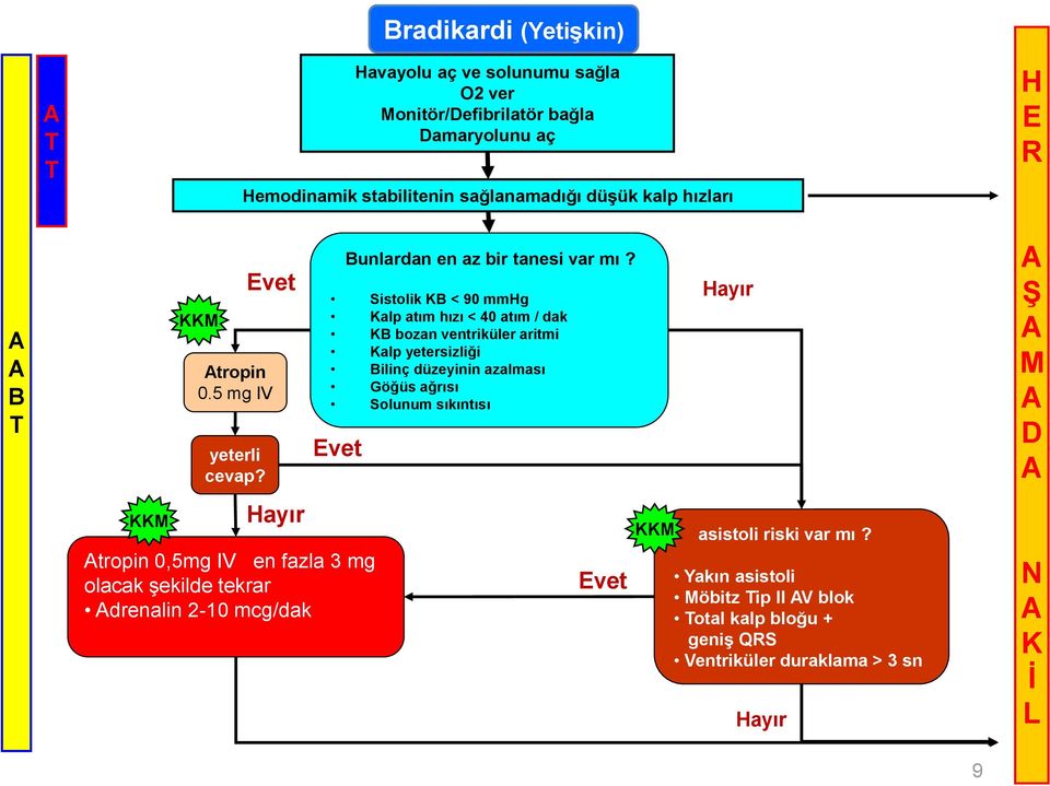 vet ayır tropin 0,5mg IV en fazla 3 mg olacak şekilde tekrar drenalin 2-10 mcg/dak unlardan en az bir tanesi var mı?