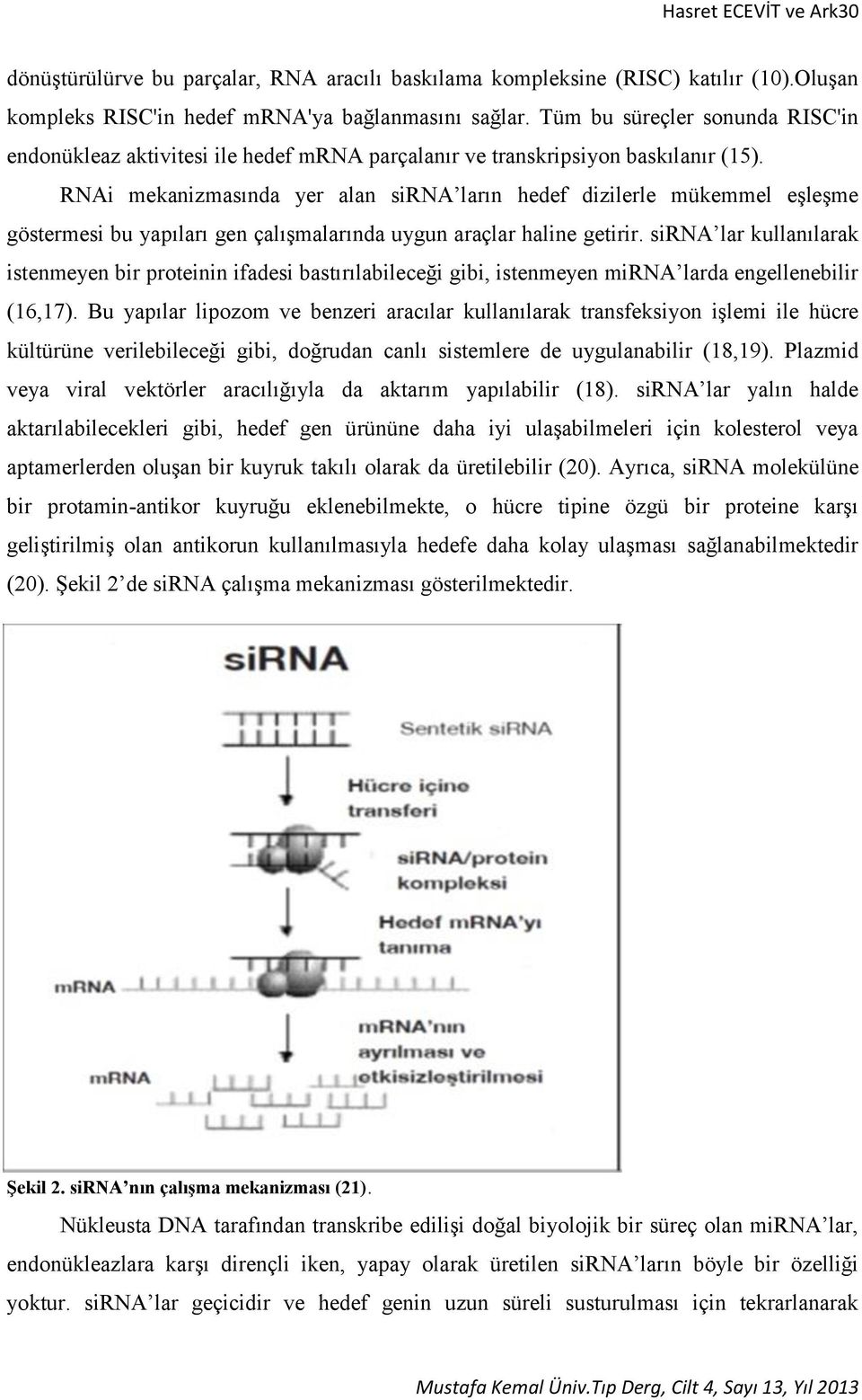 RNAi mekanizmasında yer alan sirna ların hedef dizilerle mükemmel eşleşme göstermesi bu yapıları gen çalışmalarında uygun araçlar haline getirir.