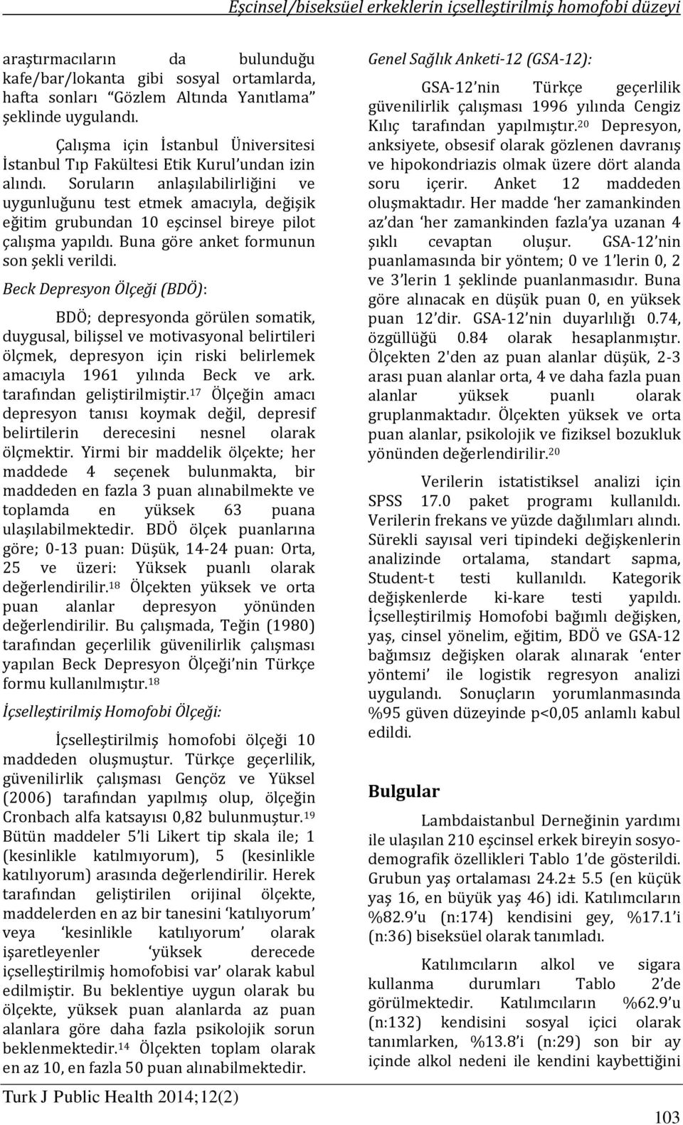 Soruların anlaşılabilirliğini ve uygunluğunu test etmek amacıyla, değişik eğitim grubundan 10 eşcinsel bireye pilot çalışma yapıldı. Buna göre anket formunun son şekli verildi.