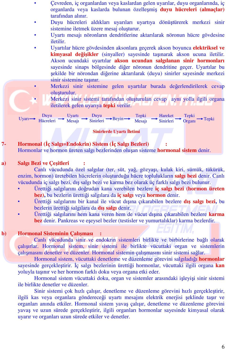 Uyartılar hücre gövdesinden aksonlara geçerek akson boyunca elektriksel ve kimyasal değişikler (sinyaller) sayesinde taşınarak akson ucuna iletilir.