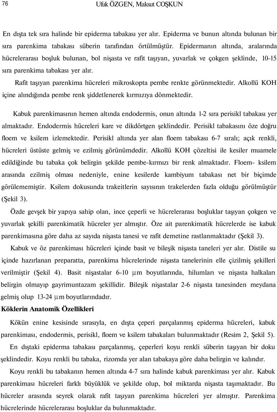 Rafit taşıyan parenkima hücreleri mikroskopta pembe renkte görünmektedir. Alkollü KOH içine alındığında pembe renk şiddetlenerek kırmızıya dönmektedir.