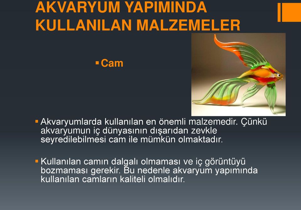 Çünkü akvaryumun iç dünyasının dışarıdan zevkle seyredilebilmesi cam ile mümkün