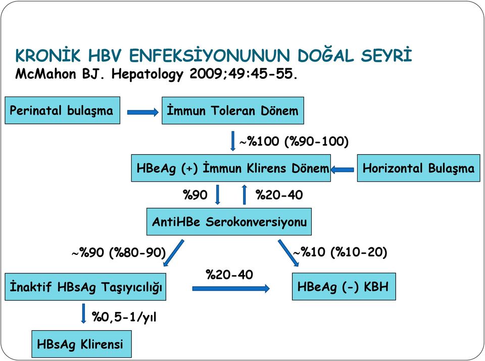 Dönem Horizontal Bulaşma %90 %20-40 AntiHBe Serokonversiyonu %90 (%80-90)