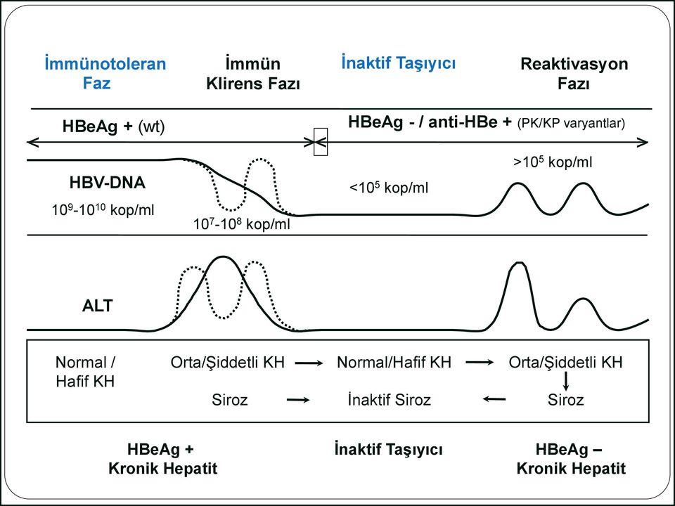 kop/ml <10 5 kop/ml >10 5 kop/ml ALT Normal / Hafif KH Orta/Şiddetli KH Siroz