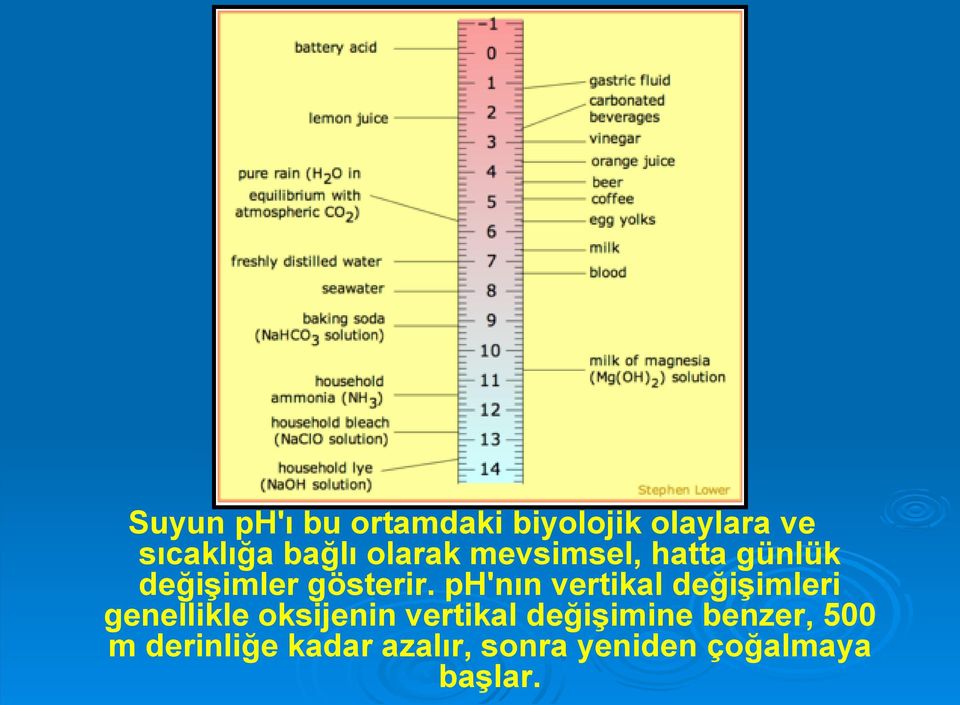 ph'nın vertikal değişimleri genellikle oksijenin vertikal