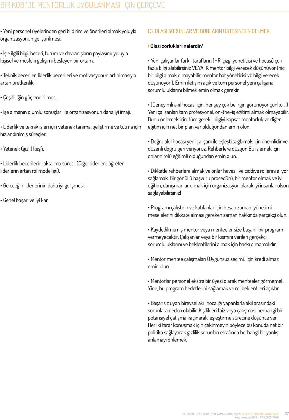 Teknik beceriler, liderlik becerileri ve motivasyonun artırılmasıyla artan üretkenlik. Çeşitliliğin güçlendirilmesi. Işe almanın olumlu sonuçları ile organizasyonun daha iyi imajı.