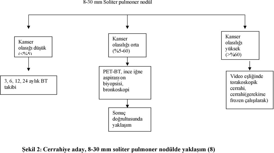 biyopsisi, bronkoskopi Sonuç doğrultusunda yaklaşım Video eşliğinde torakoskopik cerrahi,