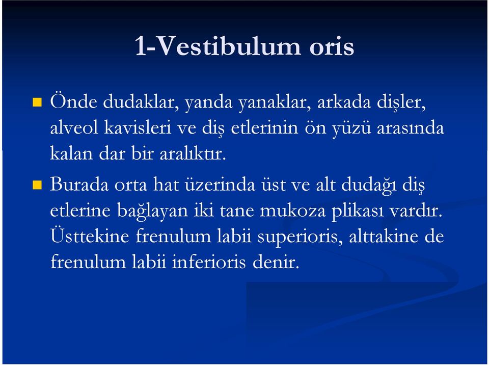 Burada orta hat üzerinda üst ve alt dudağı diş etlerine bağlayan iki tane