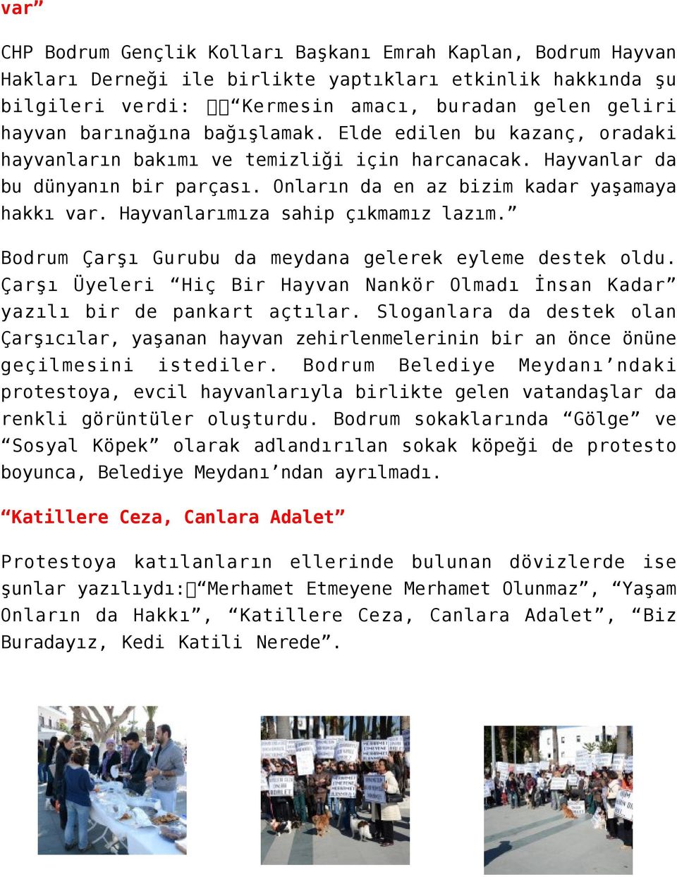 Hayvanlarımıza sahip çıkmamız lazım. Bodrum Çarşı Gurubu da meydana gelerek eyleme destek oldu. Çarşı Üyeleri Hiç Bir Hayvan Nankör Olmadı İnsan Kadar yazılı bir de pankart açtılar.