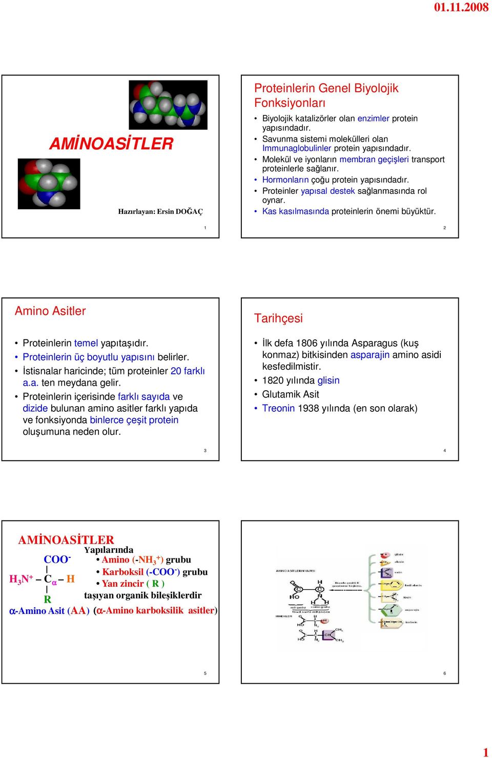 Proteinler yapısal destek sağlanmasında rol oynar. Kas kasılmasında proteinlerin önemi büyüktür. 1 2 Amino Asitler Proteinlerin temel yapıtaşıdır. Proteinlerin üç boyutlu yapısını belirler.