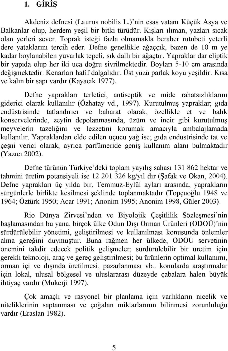 Yapraklar dar eliptik bir yapıda olup her iki uca doğru sivrilmektedir. Boyları 5-10 cm arasında değişmektedir. Kenarları hafif dalgalıdır. Üst yüzü parlak koyu yeşildir.