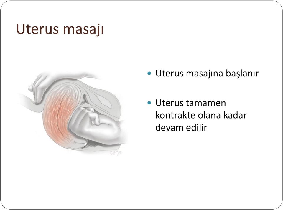 Uterus tamamen