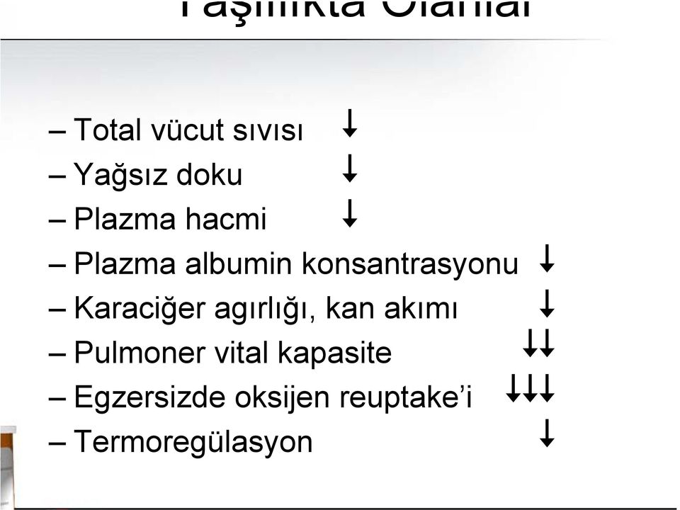 Karaciğer agırlığı, kan akımı Pulmoner vital