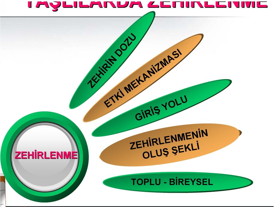 GİRİŞ YOLU ZEHİRLENMENİN