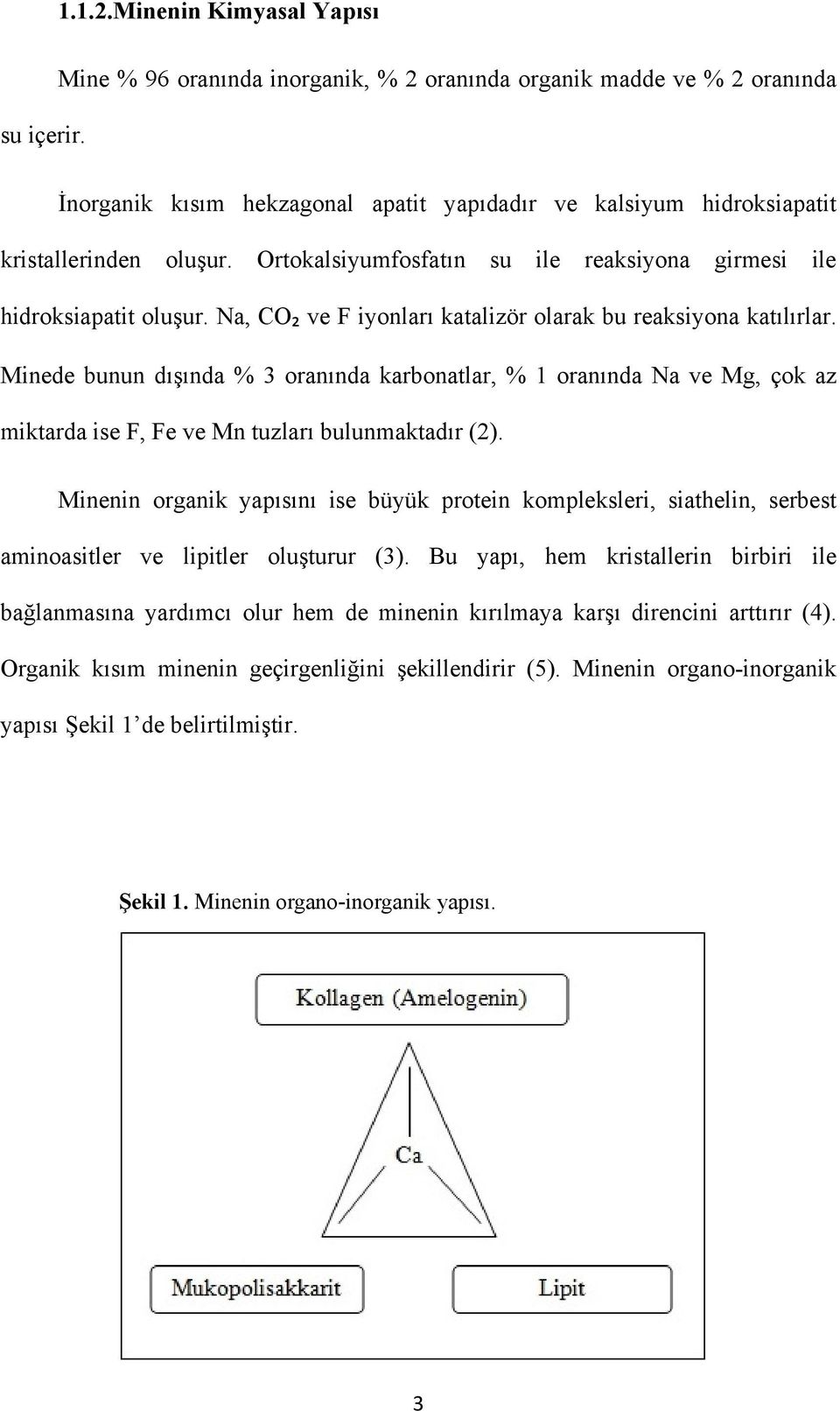 Ortokalsiyumfosfatın su ile reaksiyona girmesi ile hidroksiapatit oluşur. Na, CO₂ ve F iyonları katalizör olarak bu reaksiyona katılırlar.