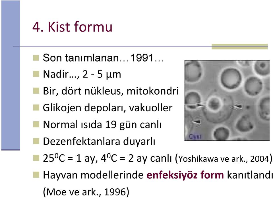 Dezenfektanlara duyarlı 250C = 1 ay, 40C = 2 ay canlı (Yoshikawa ve