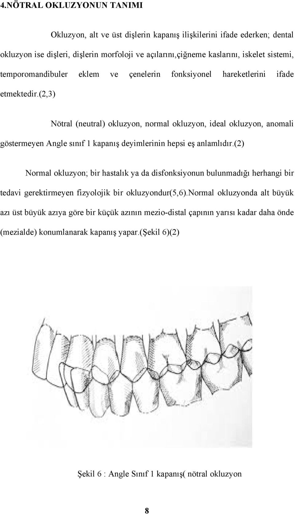 (2,3) Nötral (neutral) okluzyon, normal okluzyon, ideal okluzyon, anomali göstermeyen Angle sınıf 1 kapanış deyimlerinin hepsi eş anlamlıdır.