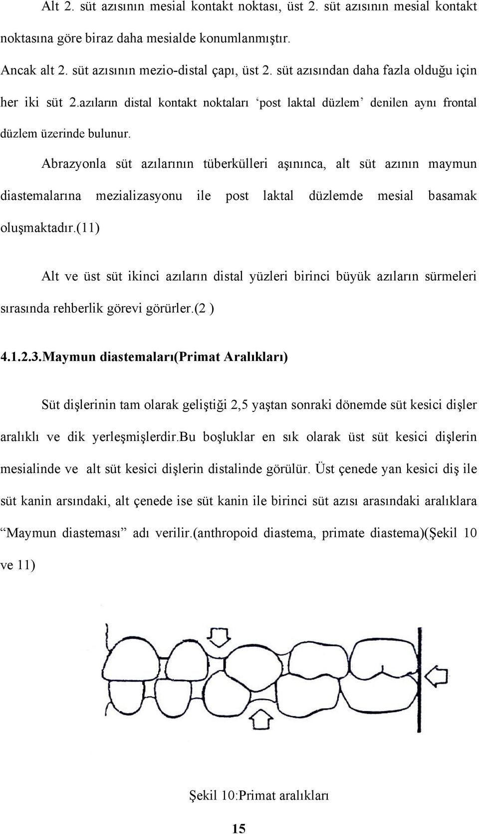 Abrazyonla süt azılarının tüberkülleri aşınınca, alt süt azının maymun diastemalarına mezializasyonu ile post laktal düzlemde mesial basamak oluşmaktadır.