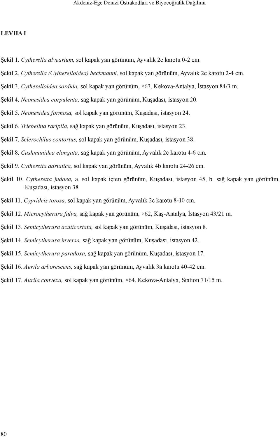 Neonesidea corpulenta, sağ kapak yan görünüm, Kuşadası, istasyon 20. Şekil 5. Neonesidea formosa, sol kapak yan görünüm, Kuşadası, istasyon 24. Şekil 6.