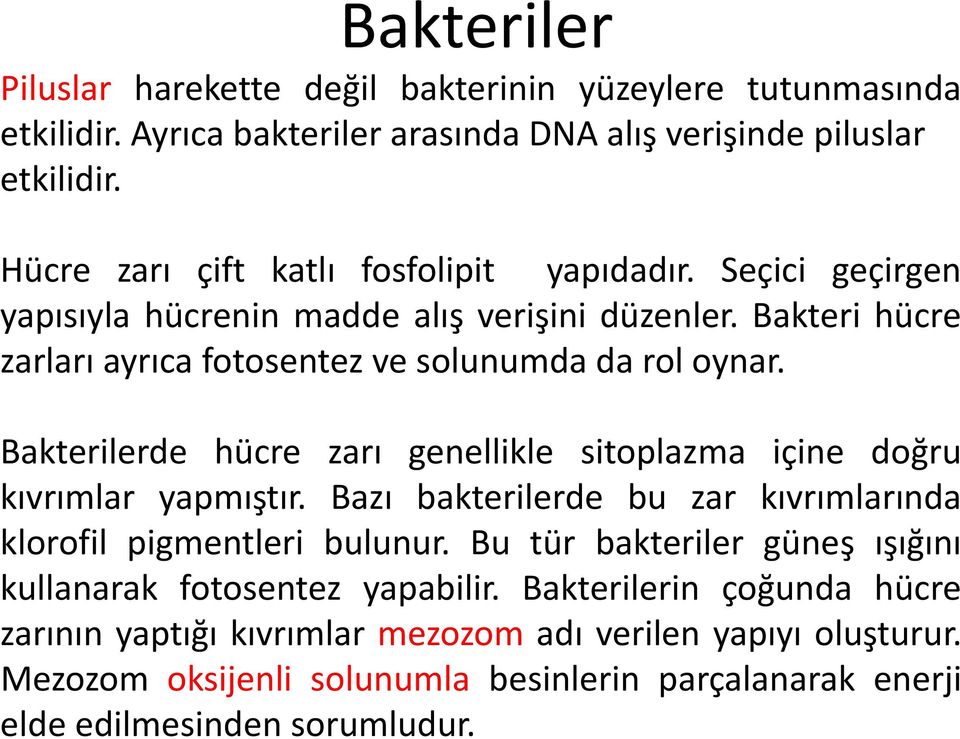 Bakterilerde hücre zarı genellikle sitoplazma içine doğru kıvrımlar yapmıştır. Bazı bakterilerde bu zar kıvrımlarında klorofil pigmentleri bulunur.