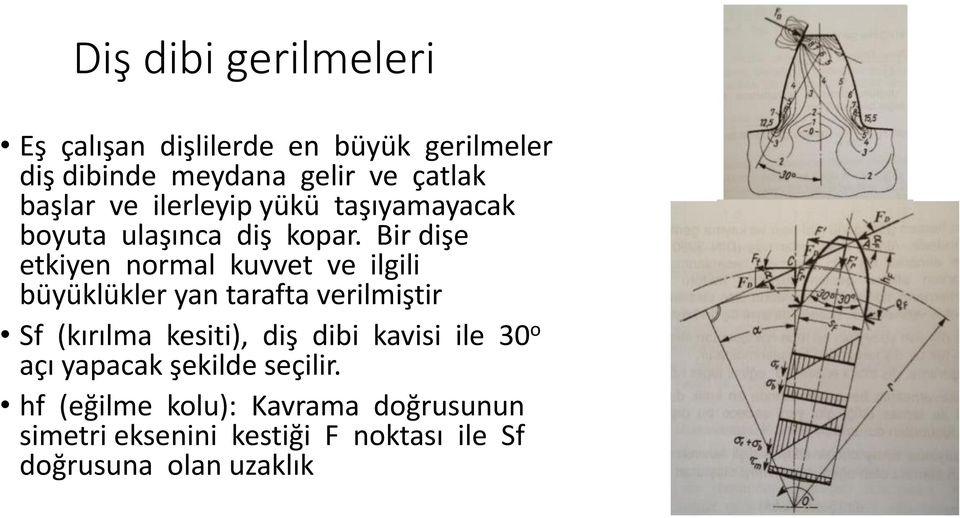 Bir dişe etkiyen normal kuvvet ve ilgili büyüklükler yan tarafta verilmiştir Sf (kırılma kesiti), diş