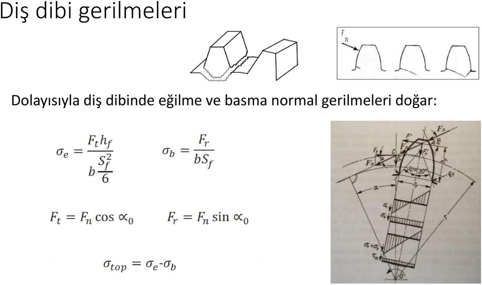 dibinde eğilme ve