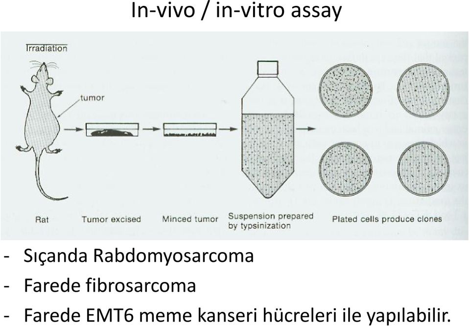 Farede fibrosarcoma - Farede