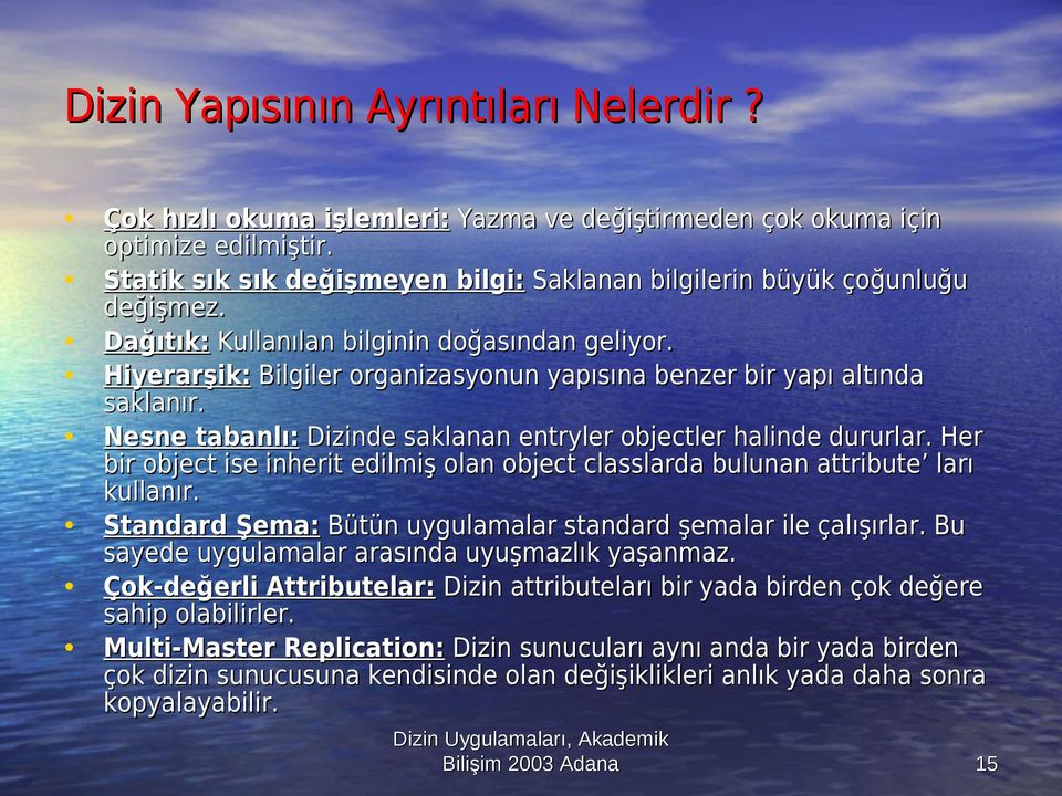 Hiyerarşik: Bilgiler organizasyonun yapısına benzer bir yapı altında saklanır. Nesne tabanlı: Dizinde saklanan entryler objectler halinde dururlar.