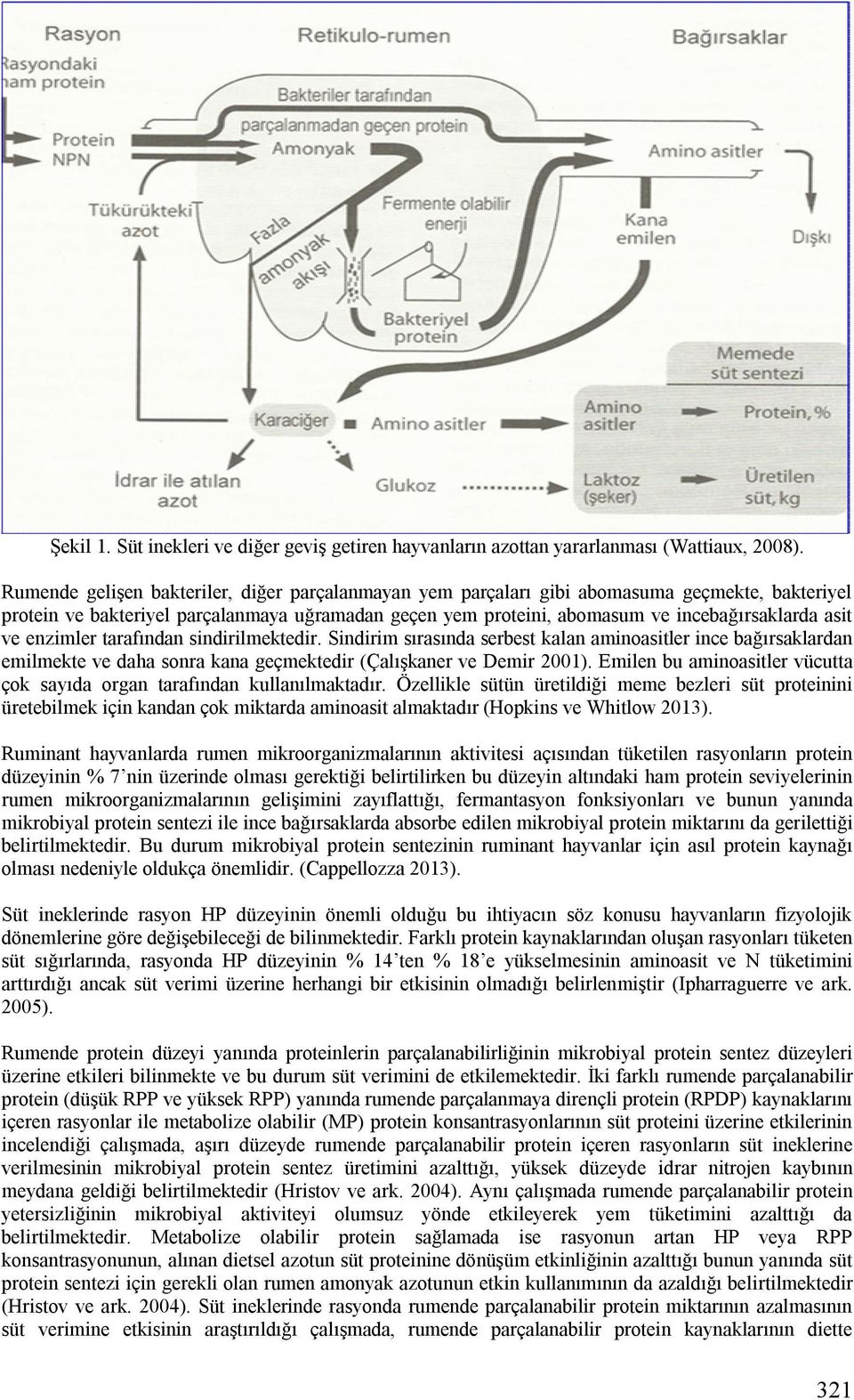 ve enzimler tarafından sindirilmektedir. Sindirim sırasında serbest kalan aminoasitler ince bağırsaklardan emilmekte ve daha sonra kana geçmektedir (Çalışkaner ve Demir 2001).