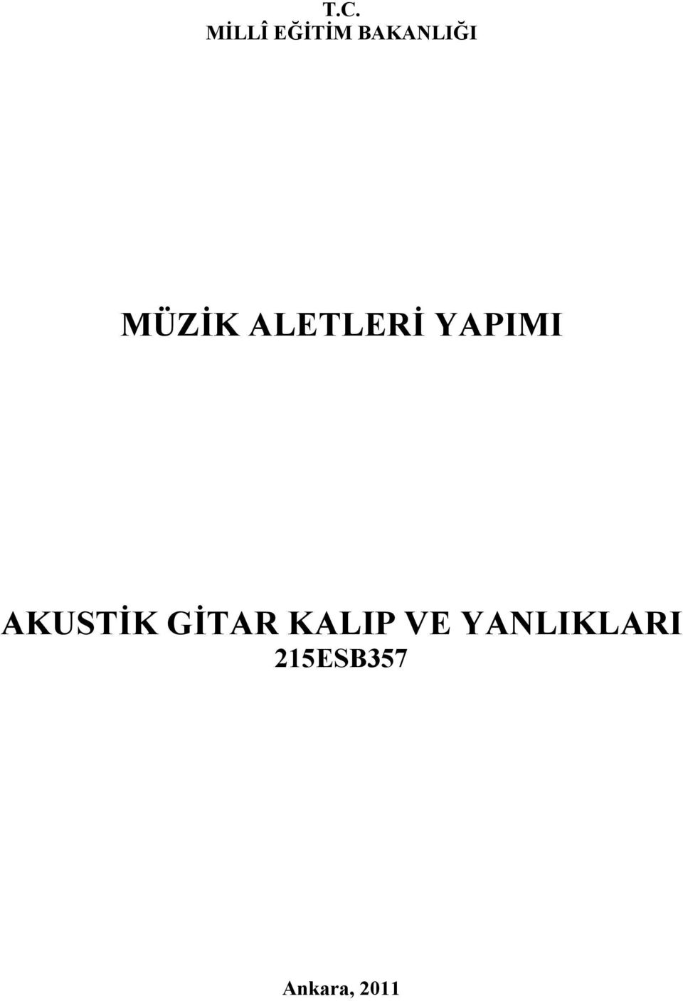 YAPIMI AKUSTİK GİTAR KALIP