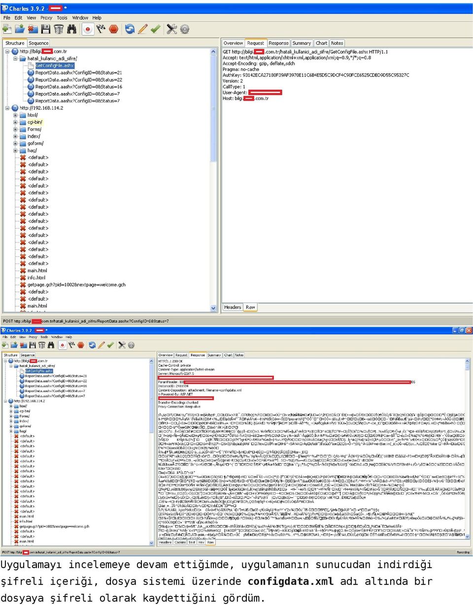 içeriği, dosya sistemi üzerinde configdata.