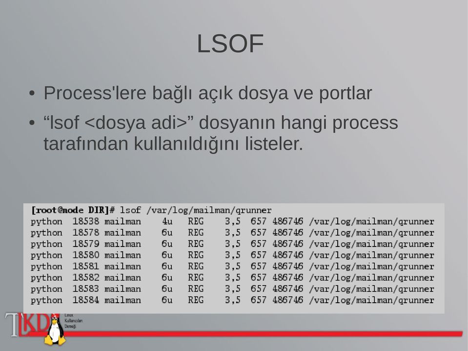 adi> dosyanın hangi process