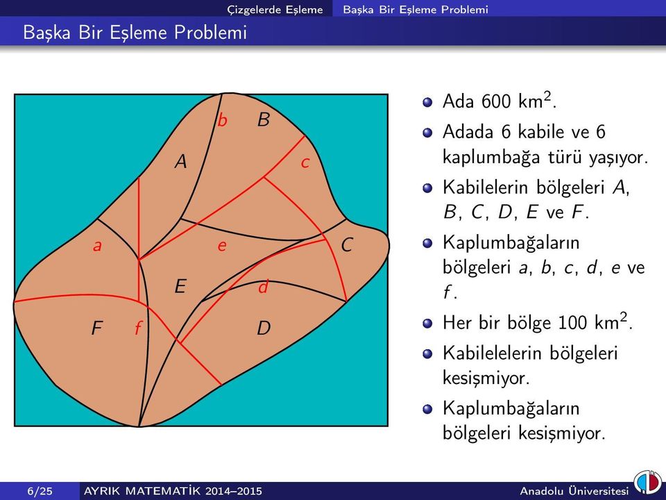 Kaplumbağaların bölgeleri a, b, c, d, e ve f. Her bir bölge 100 km 2.