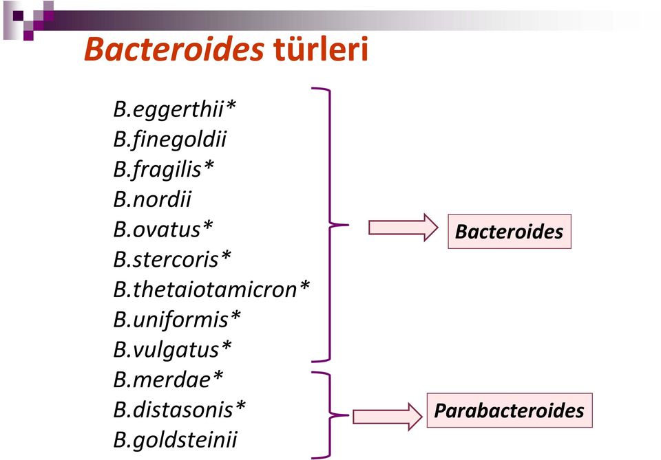 thetaiotamicron* B.uniformis* B.vulgatus* B.