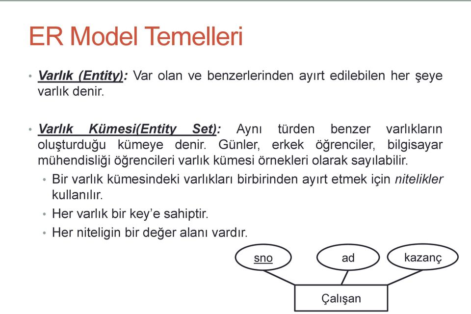 Günler, erkek öğrenciler, bilgisayar mühendisliği öğrencileri varlık kümesi örnekleri olarak sayılabilir.