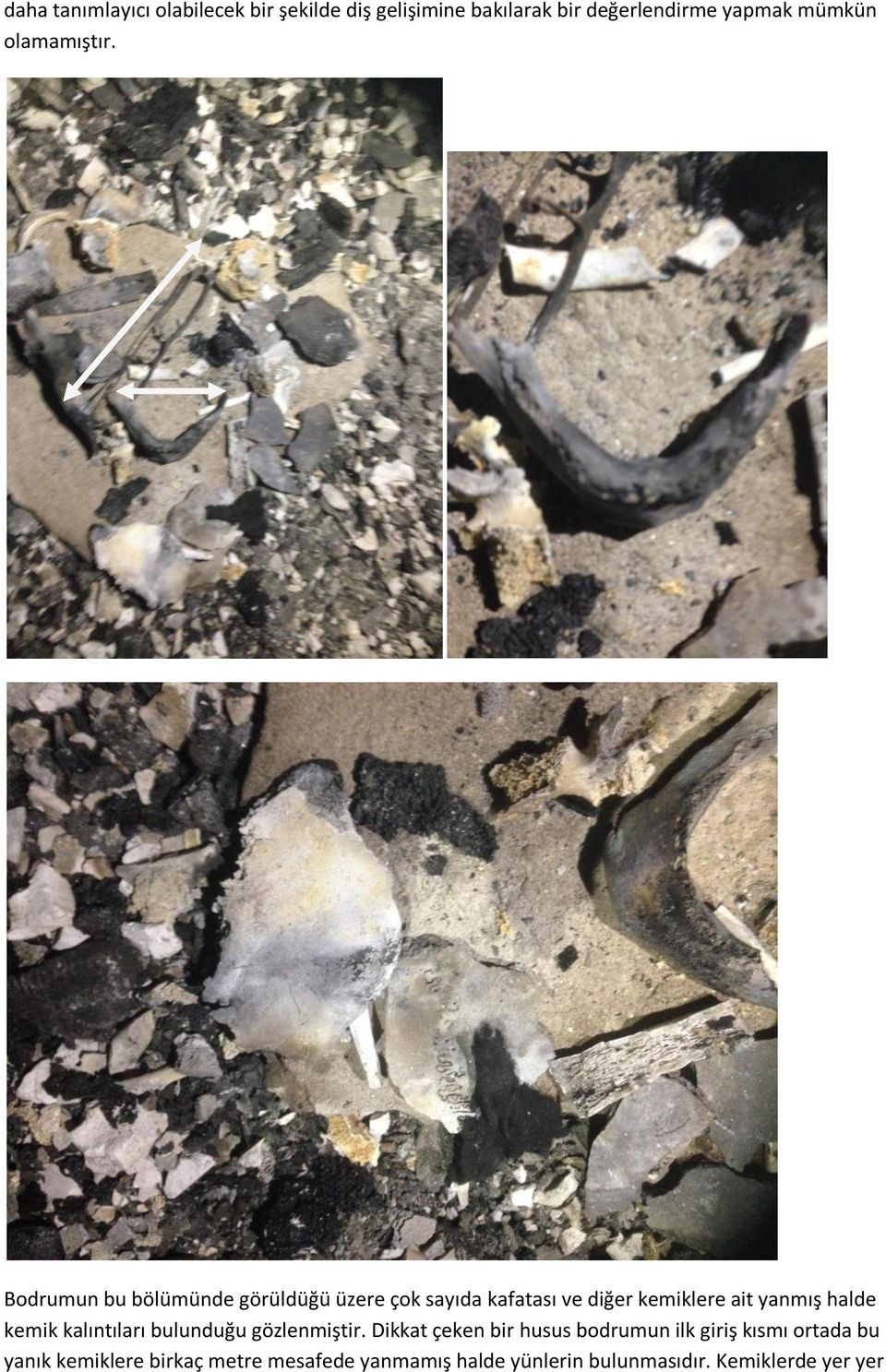 Bodrumun bu bölümünde görüldüğü üzere çok sayıda kafatası ve diğer kemiklere ait yanmış halde kemik