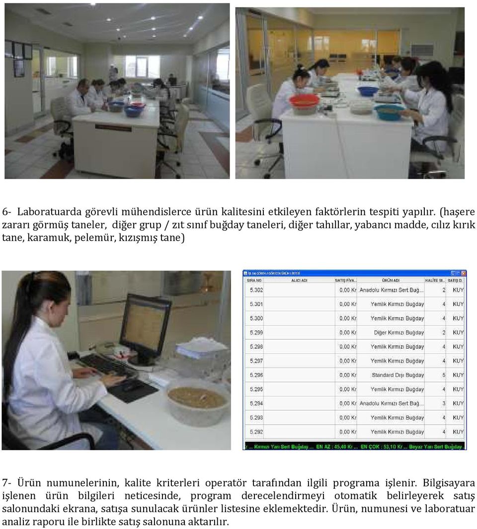 kızışmış tane) 7- Ürün numunelerinin, kalite kriterleri operatör tarafından ilgili programa işlenir.