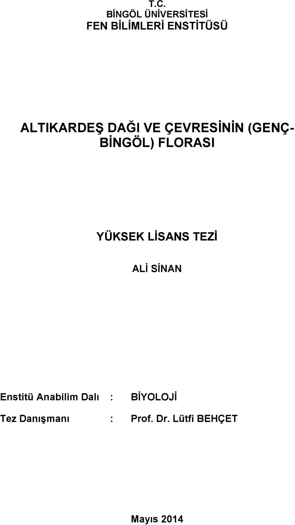 YÜKSEK LİSANS TEZİ ALİ SİNAN Enstitü Anabilim Dalı :