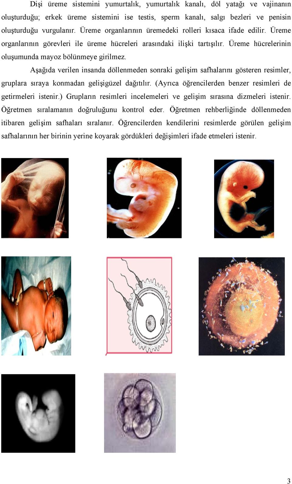 Aşağıda verilen insanda döllenmeden sonraki gelişim safhalarını gösteren resimler, gruplara sıraya konmadan gelişigüzel dağıtılır. (Ayrıca öğrencilerden benzer resimleri de getirmeleri istenir.