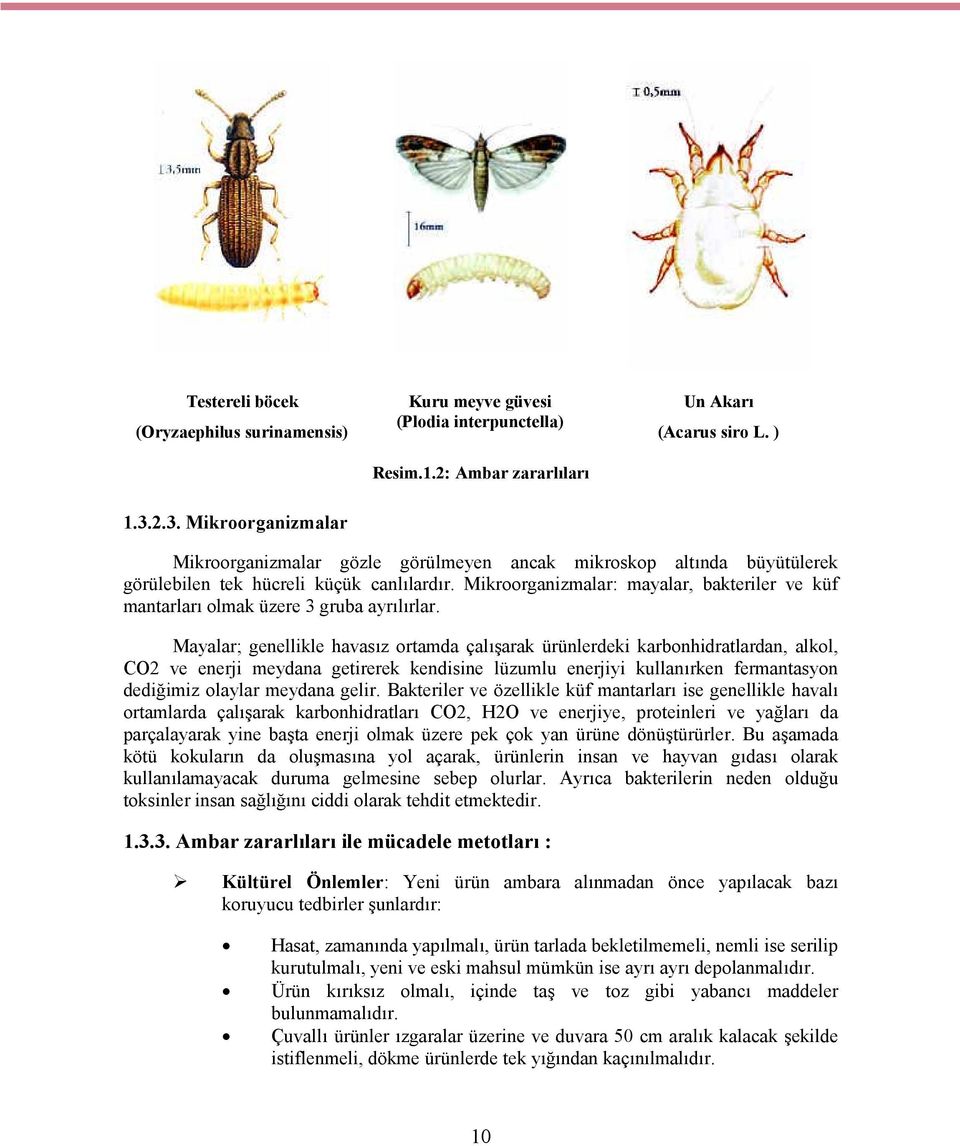 Mikroorganizmalar: mayalar, bakteriler ve küf mantarları olmak üzere 3 gruba ayrılırlar.